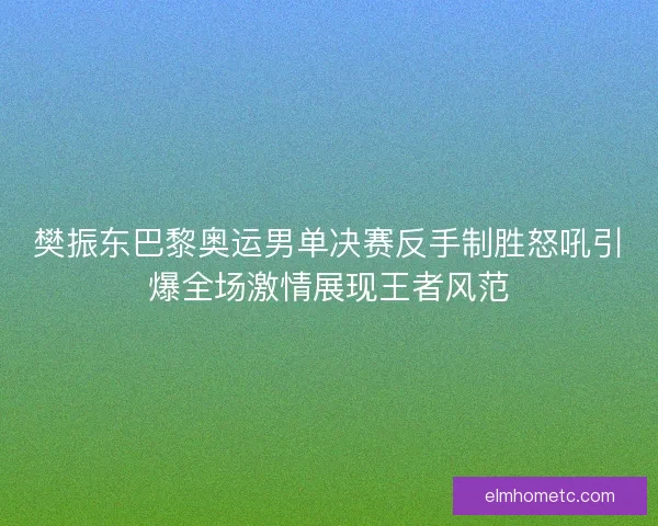 樊振东巴黎奥运男单决赛反手制胜怒吼引爆全场激情展现王者风范